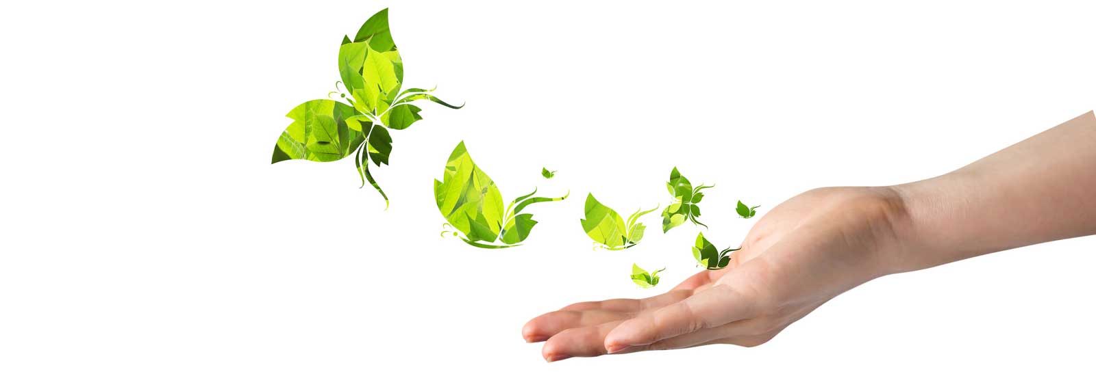 אקטיבציה - פרפרים עפים מתוך יד מושטת