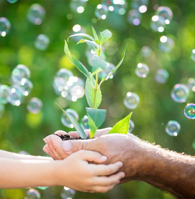 טיפולים אנרגטיים